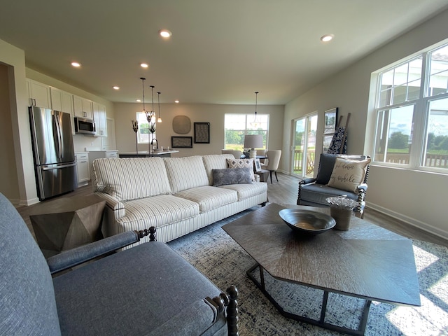 living room featuring wood-type flooring