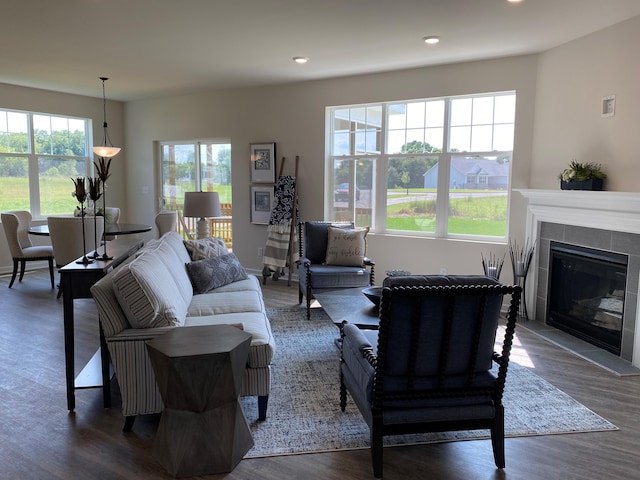 living room featuring dark hardwood / wood-style floors, plenty of natural light, and a fireplace