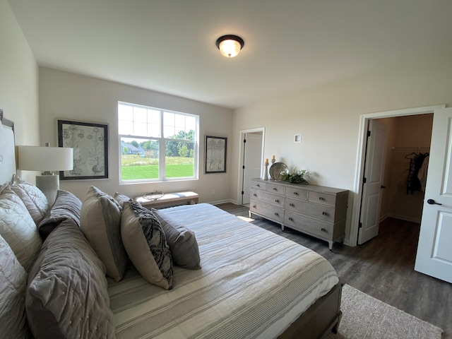 bedroom with a walk in closet, dark hardwood / wood-style floors, and a closet