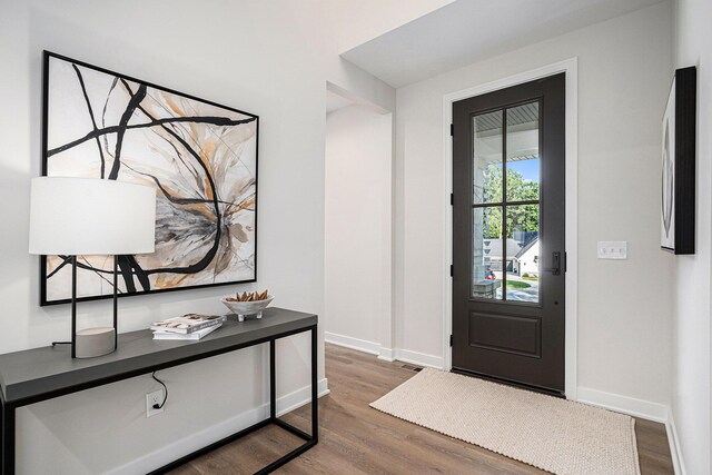 foyer entrance with hardwood / wood-style flooring