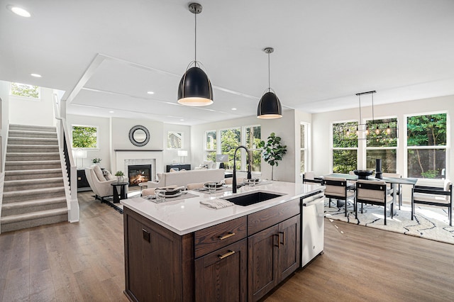 kitchen featuring sink, wood-type flooring, stainless steel dishwasher, an island with sink, and pendant lighting