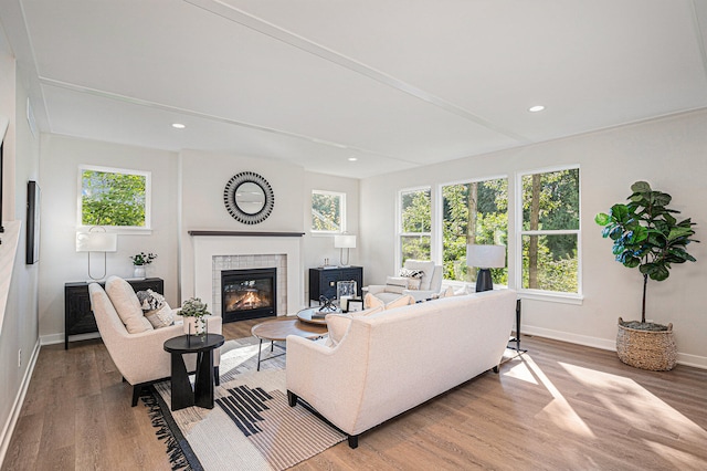 living room featuring hardwood / wood-style floors and a fireplace