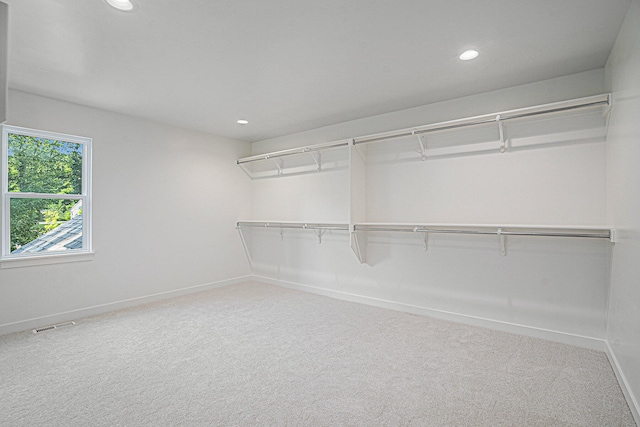 walk in closet featuring carpet