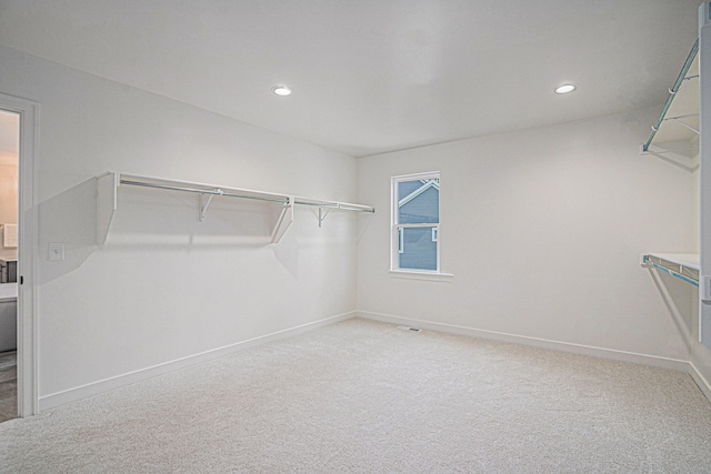 spacious closet with carpet