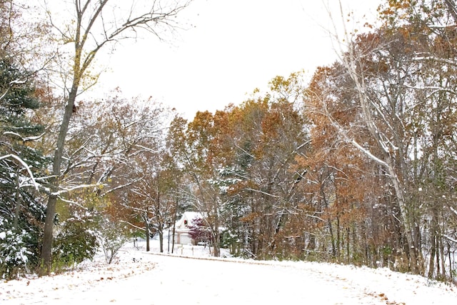 view of yard covered in snow