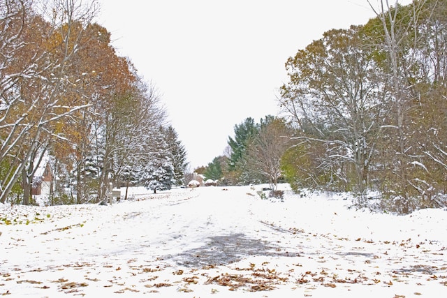 view of snow covered land