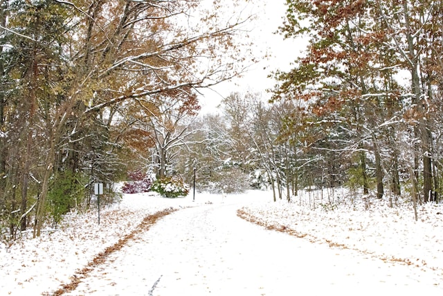 view of road