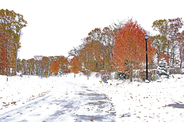 view of snowy landscape