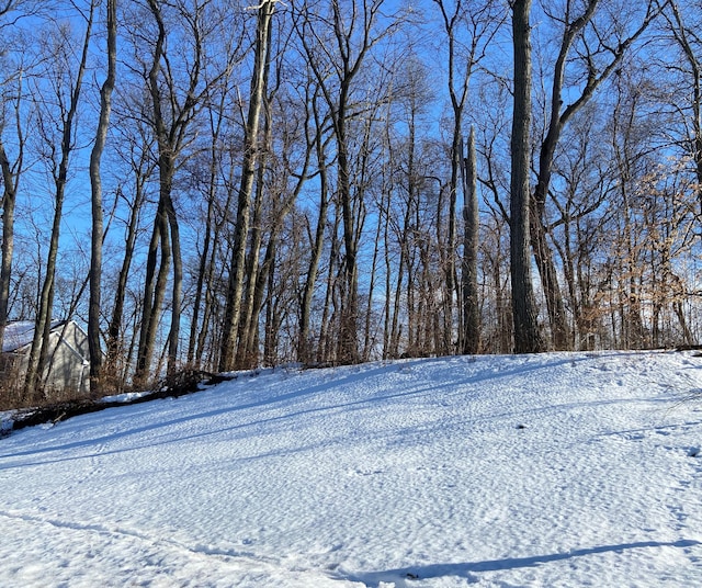 view of yard layered in snow