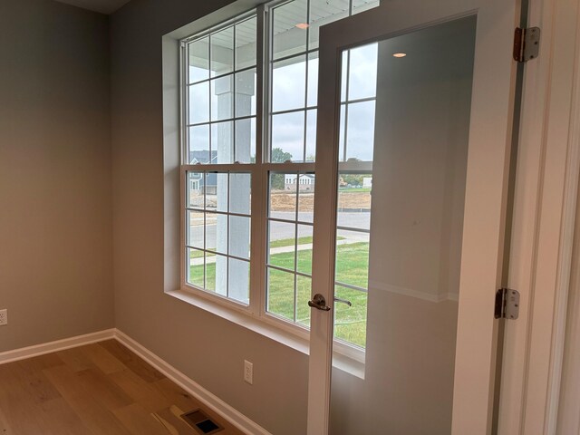 doorway to outside featuring wood-type flooring and a wealth of natural light