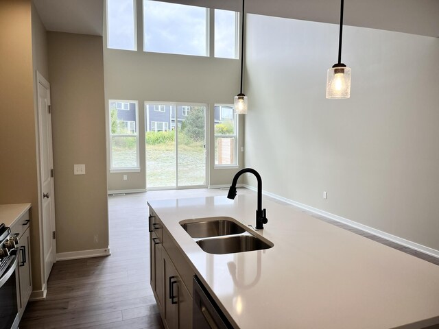 kitchen with stainless steel dishwasher, a kitchen island with sink, sink, wood-type flooring, and pendant lighting