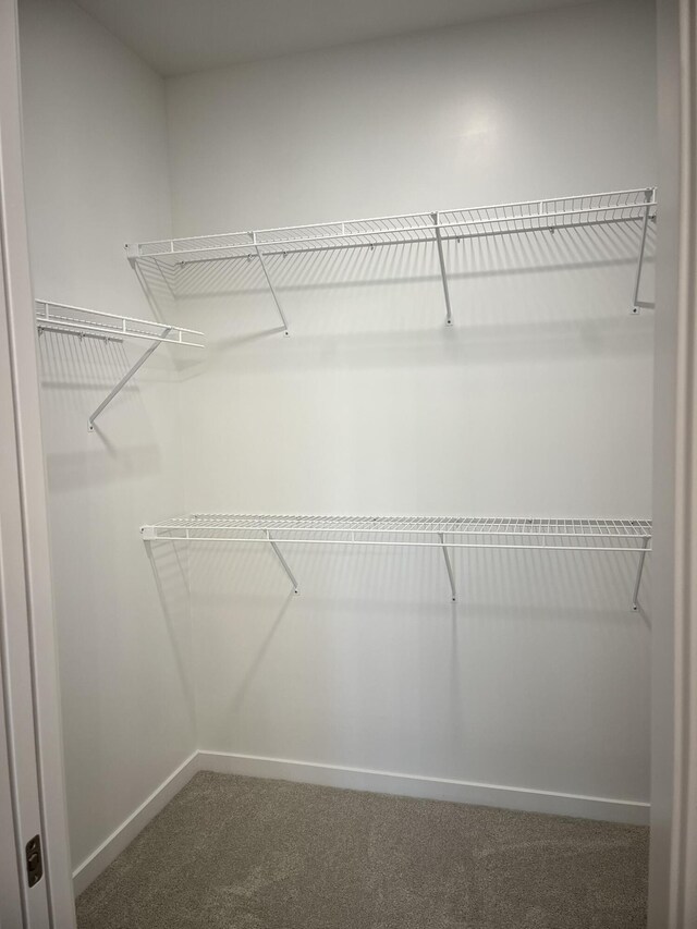 walk in closet with carpet