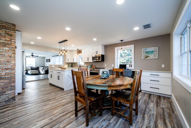 dining room featuring dark wood-type flooring, ceiling fan, and sink