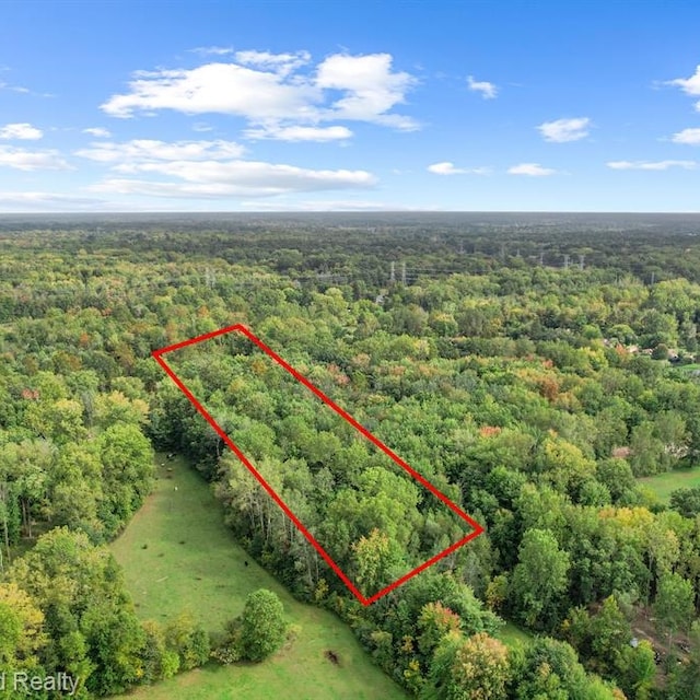 21301 Martinsville Rd, Belleville MI, 48111 land for sale