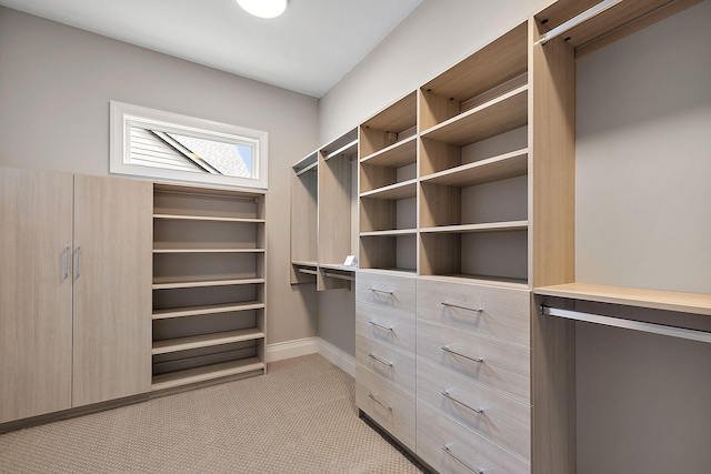 walk in closet with light colored carpet