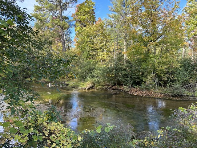 view of water feature