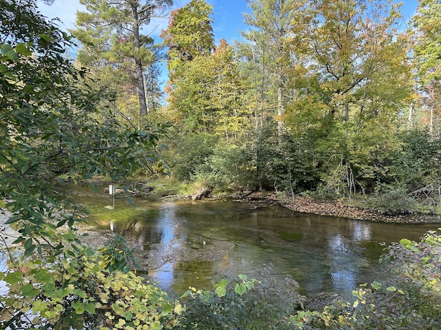 view of water feature