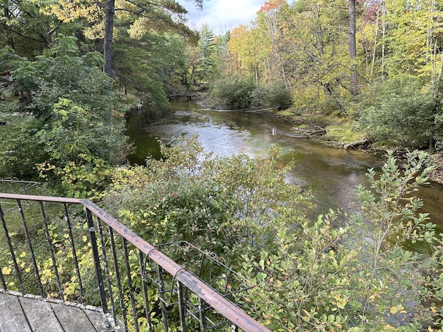 property view of water