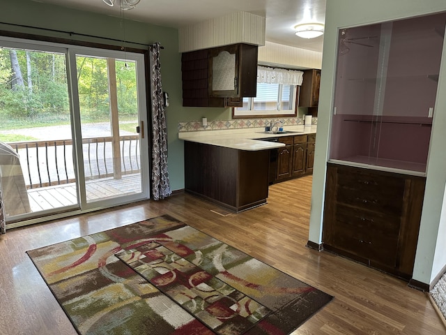 kitchen with decorative backsplash, sink, dark brown cabinets, and light wood-type flooring