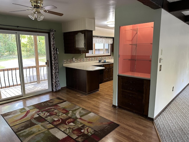 kitchen with sink, dark brown cabinets, hardwood / wood-style floors, and ceiling fan