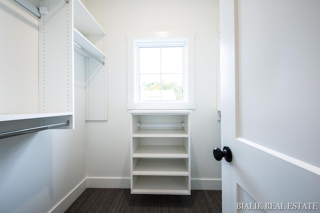 walk in closet featuring dark carpet