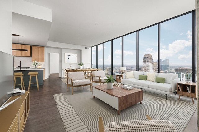 living room with floor to ceiling windows, dark wood-type flooring, and sink