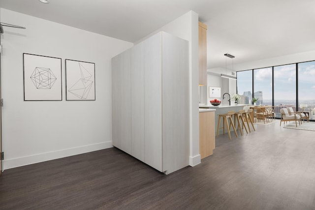 additional living space featuring dark wood-type flooring