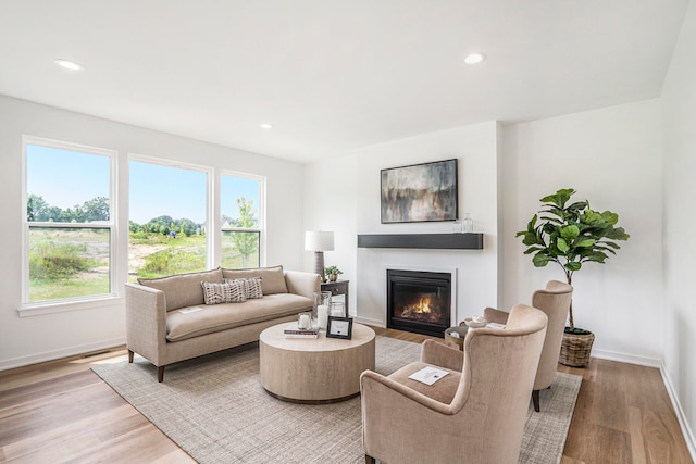 living room featuring light wood-type flooring