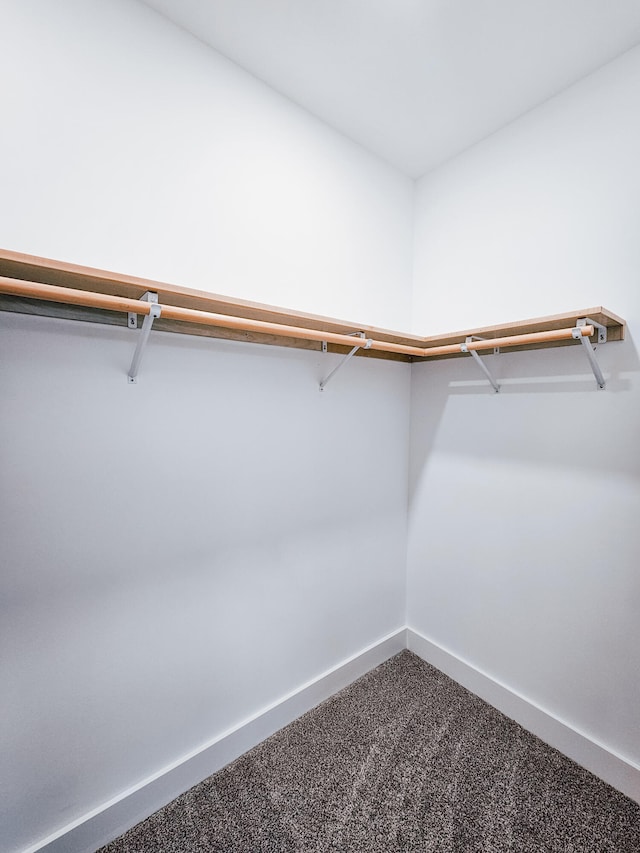 spacious closet with carpet floors