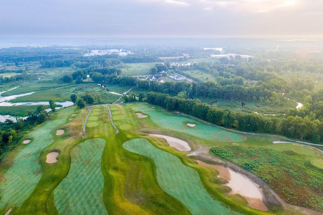 bird's eye view