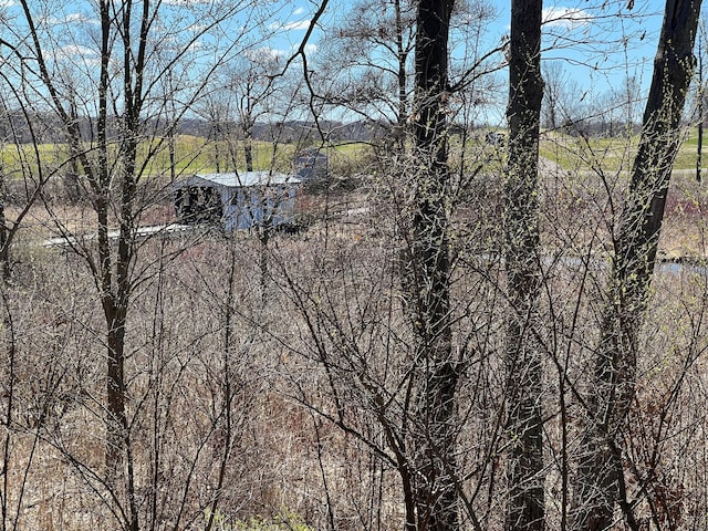 view of local wilderness