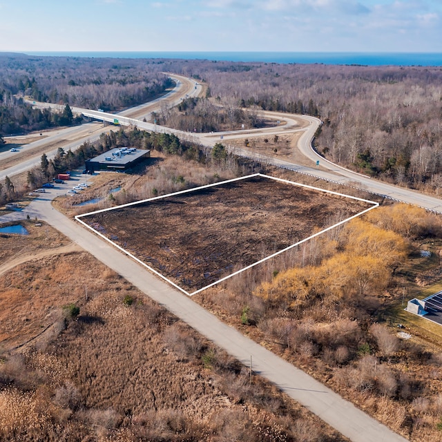 LOT2 Blue Star Hwy, Saugatuck MI, 49453 land for sale