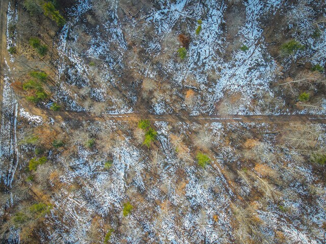 Silver Creek Rd, Whitehall, MI 49461