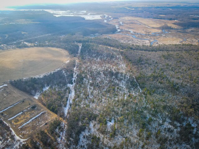 Silver Creek Rd, Whitehall, MI 49461