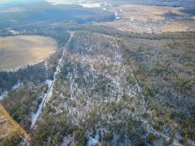 Silver Creek Rd, Whitehall, MI 49461