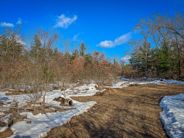 Silver Creek Rd, Whitehall, MI 49461