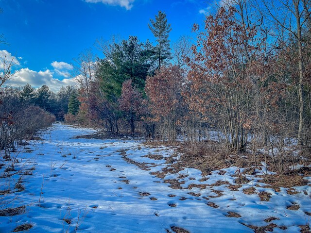 Silver Creek Rd, Whitehall, MI 49461