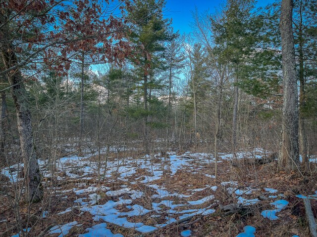 Silver Creek Rd, Whitehall, MI 49461