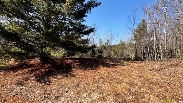 Listing photo 2 for LOT30 White Pine Dr, Cadillac MI 49601