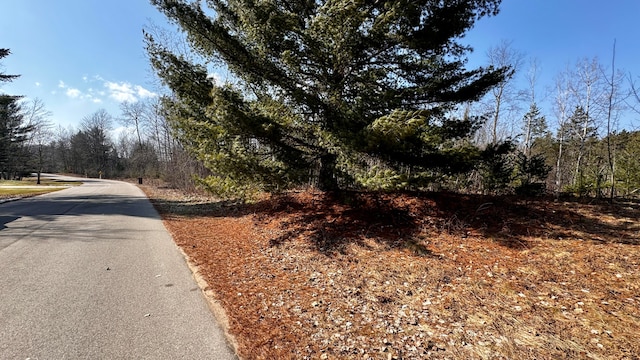 Listing photo 3 for LOT30 White Pine Dr, Cadillac MI 49601