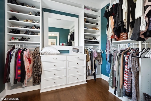 walk in closet featuring dark wood-type flooring