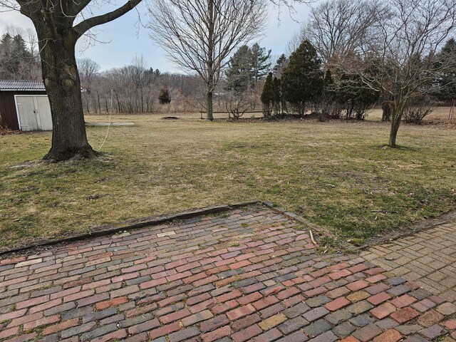 view of yard featuring a patio and a shed