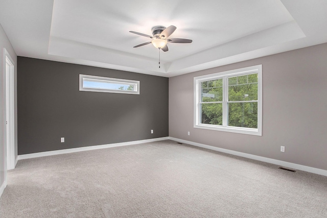 unfurnished room with a raised ceiling, carpet floors, and a wealth of natural light