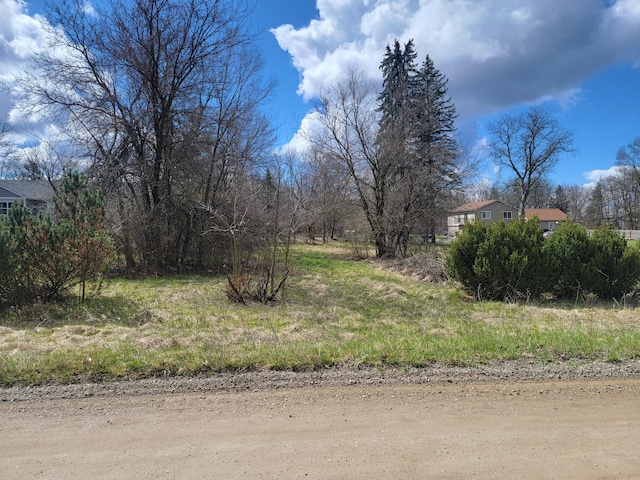 50305 Bog Rd, Van Buren Twp MI, 48111 land for sale