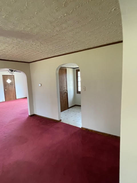 unfurnished room featuring light carpet and a textured ceiling