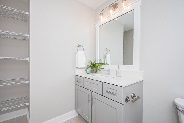 bathroom featuring vanity, wood-type flooring, and toilet