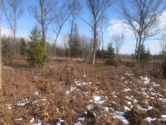 Listing photo 2 for 58ACRES Creamery Rd, Kaleva MI 49645