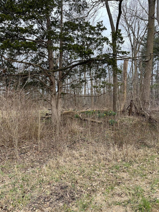 628 32nd St, Allegan MI, 49010 land for sale