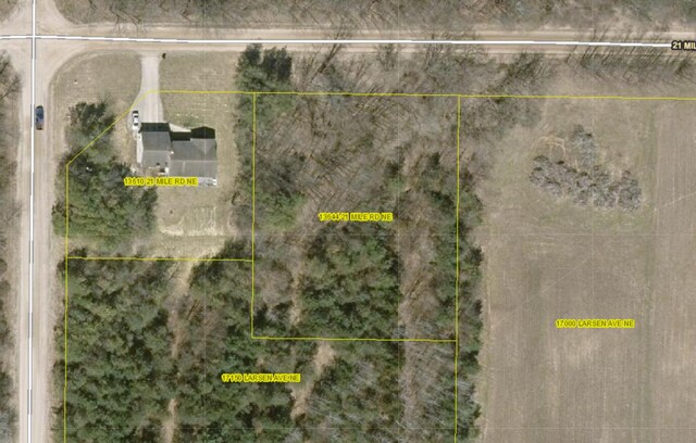 13644 21 Mile Rd, Gowen MI, 49326 land for sale