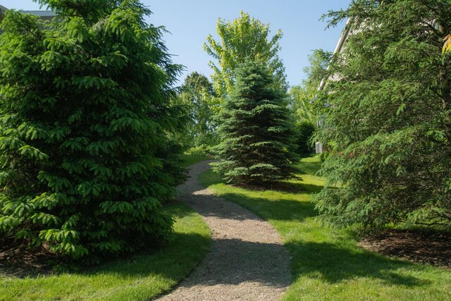 exterior space with a lawn